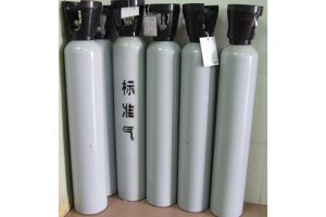 标准气